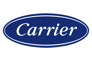Carrier
